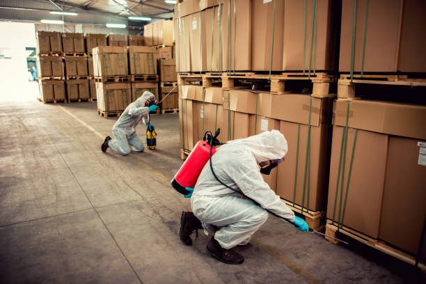 Best Local Pest Control Services  in , IL