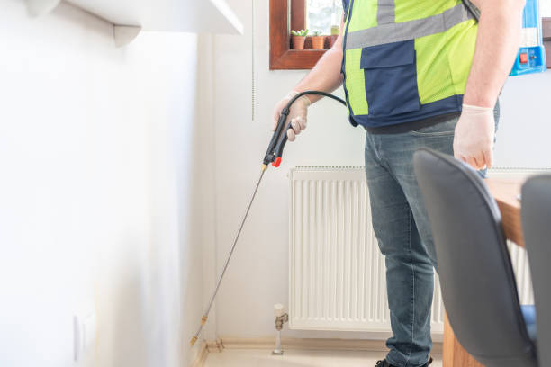 Best Flea Control Services  in , IL