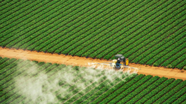 Best Mosquito Control Services  in , IL